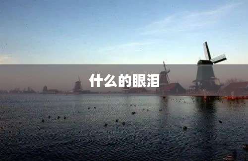什么的眼泪