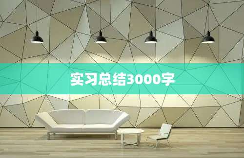 实习总结3000字