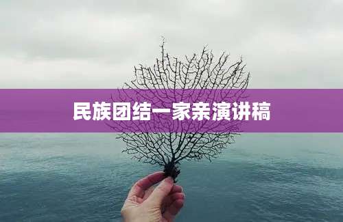 民族团结一家亲演讲稿