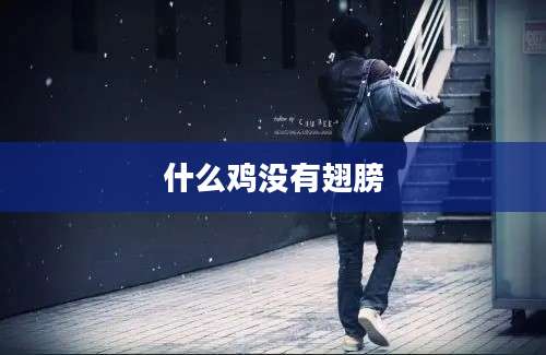 什么鸡没有翅膀