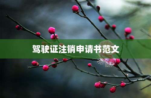 驾驶证注销申请书范文