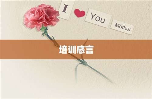 培训感言