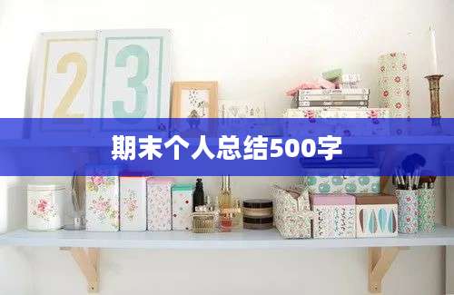 期末个人总结500字