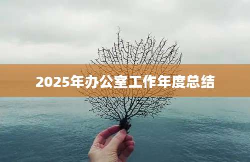 2025年办公室工作年度总结