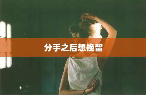 分手之后想挽留