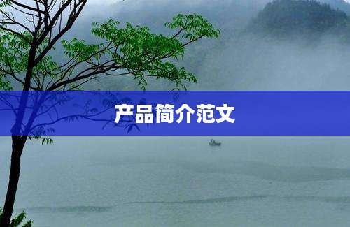 产品简介范文