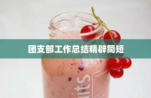团支部工作总结精辟简短