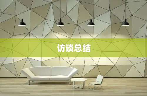 访谈总结