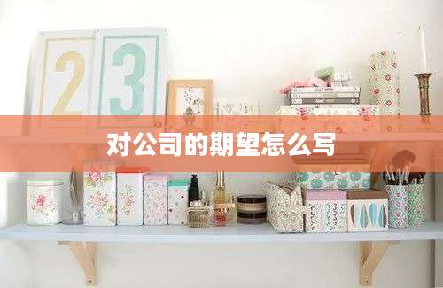 对公司的期望怎么写