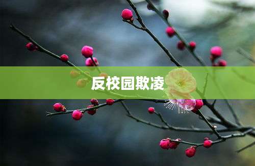 反校园欺凌