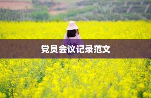党员会议记录范文