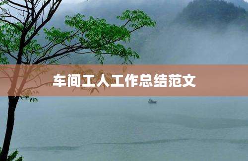 车间工人工作总结范文