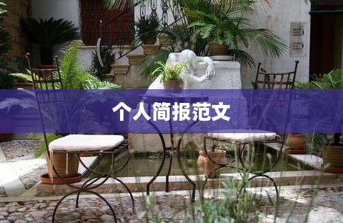 个人简报范文