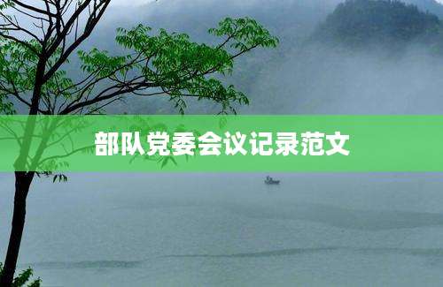 部队党委会议记录范文