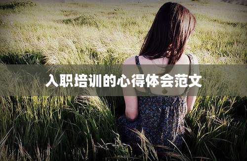 入职培训的心得体会范文