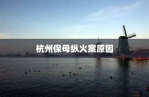 杭州保母纵火案原因