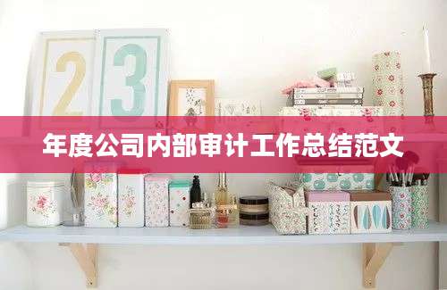 年度公司内部审计工作总结范文