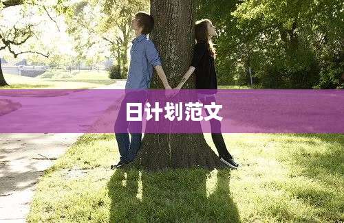 日计划范文