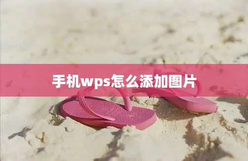 手机wps怎么添加图片