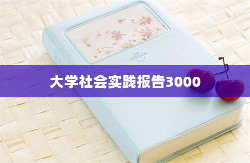 大学社会实践报告3000