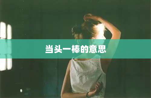 当头一棒的意思