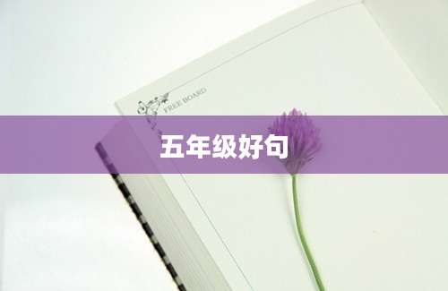 五年级好句