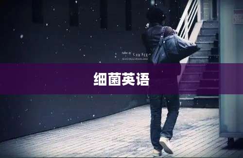细菌英语