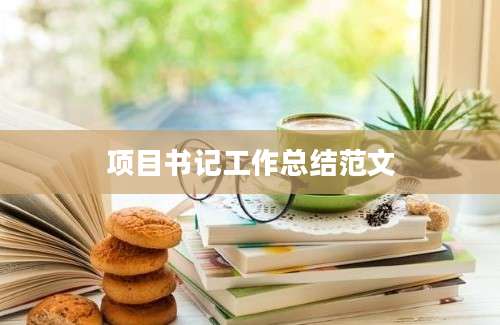 项目书记工作总结范文
