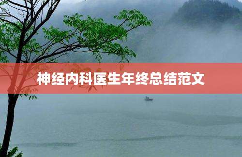 神经内科医生年终总结范文