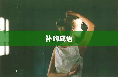 补的成语