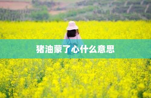 猪油蒙了心什么意思