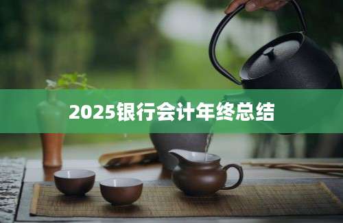 2025银行会计年终总结