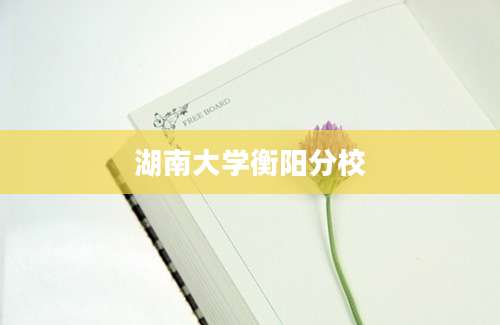 湖南大学衡阳分校