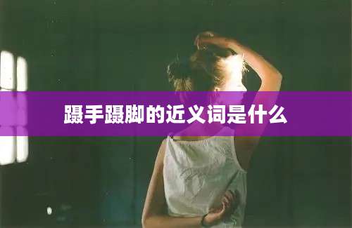 蹑手蹑脚的近义词是什么