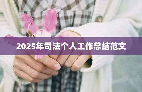 2025年司法个人工作总结范文