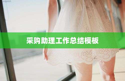 采购助理工作总结模板
