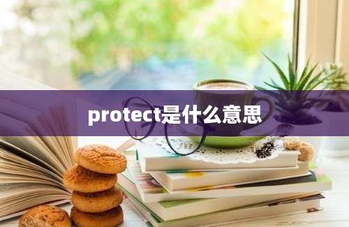 protect是什么意思