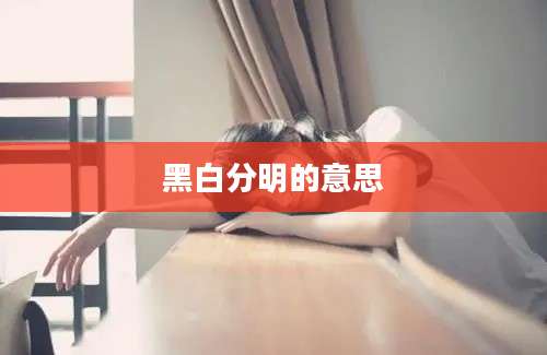 黑白分明的意思