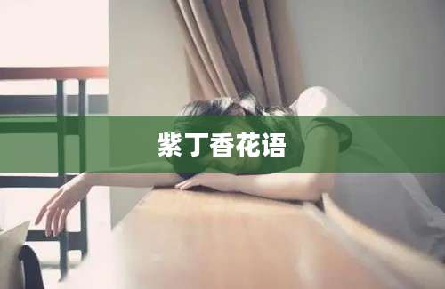 紫丁香花语