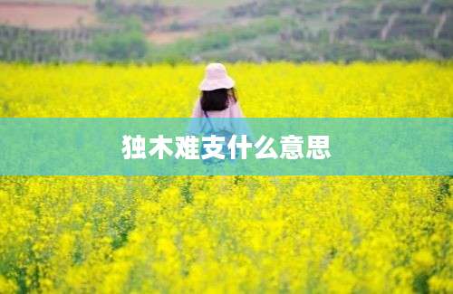 独木难支什么意思