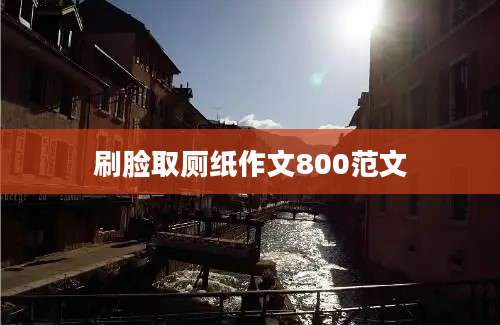 刷脸取厕纸作文800范文