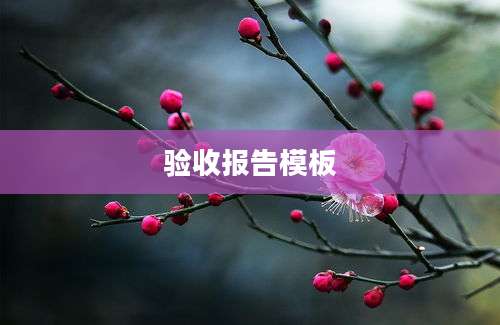 验收报告模板