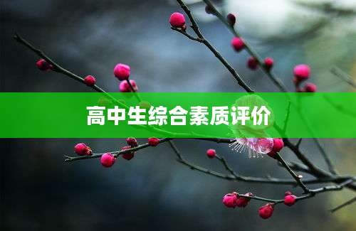 高中生综合素质评价