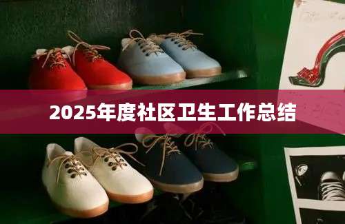 2025年度社区卫生工作总结