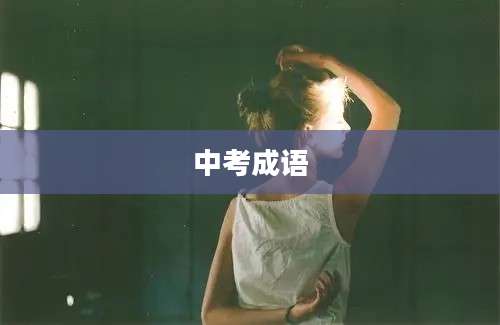 中考成语