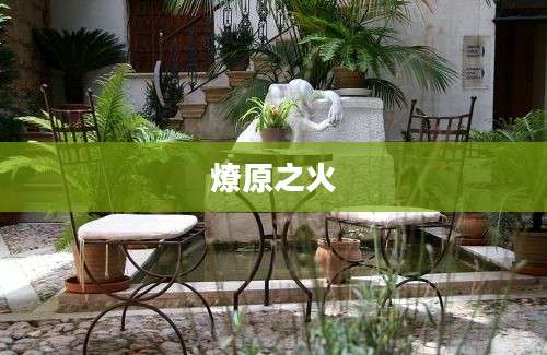 燎原之火