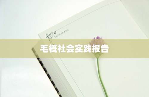 毛概社会实践报告