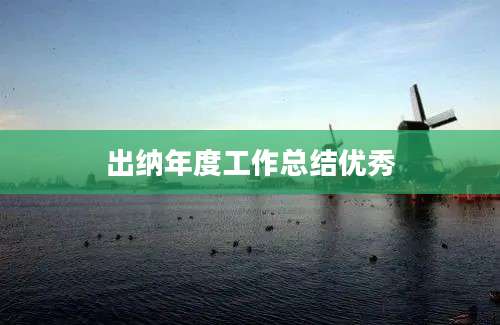 出纳年度工作总结优秀