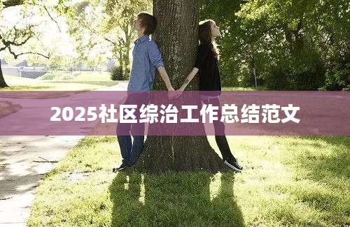 2025社区综治工作总结范文