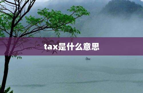 tax是什么意思